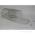 Small Animal Trap Cage Heavy Duty Live Multi Catch Rat Trap Cage Manufactory